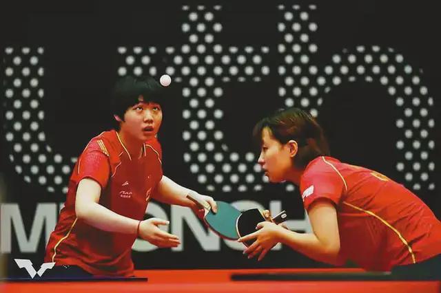 年的猛龙 年的猛龙