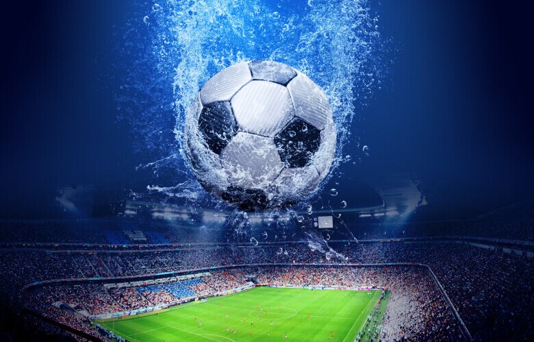 热爱的领域 热爱的领域