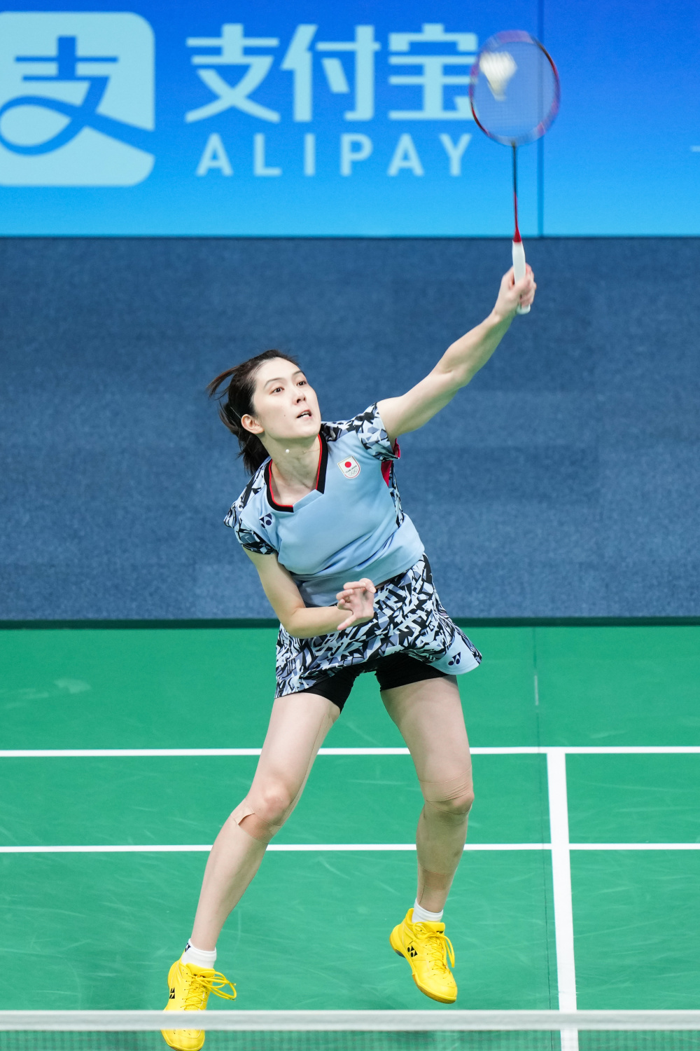 从滑雪板的 从滑雪板的