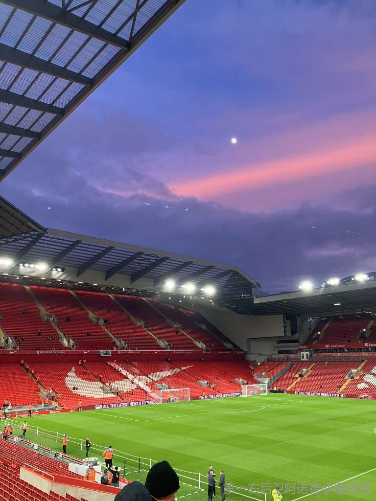 案例分析 案例分析